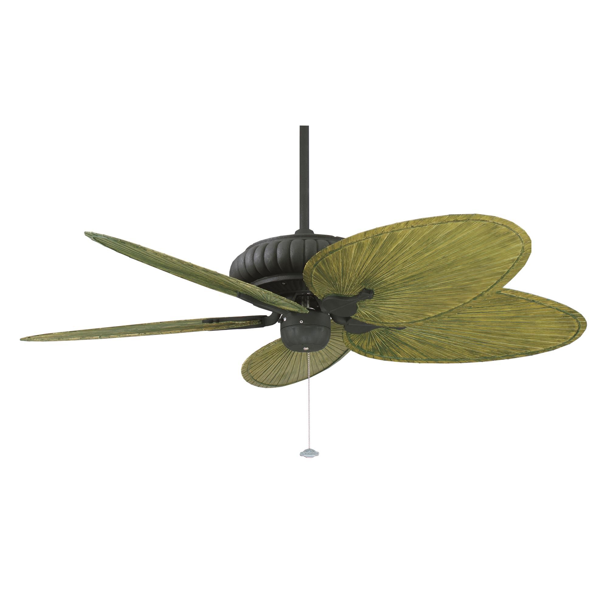 Belleria Outdoor Rated 36 Inch Ceiling Fan by Fanimation